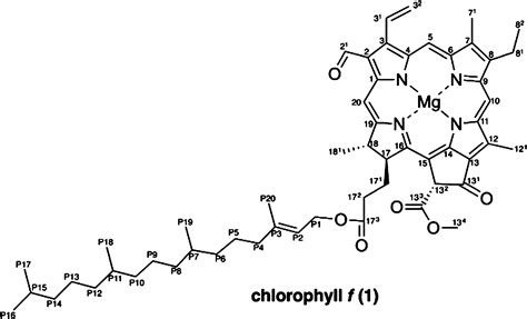 Chlorophyll Structure