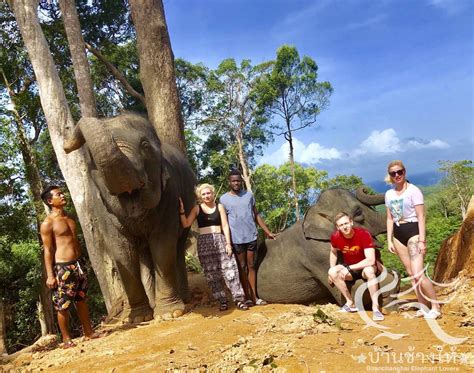 Phupa Elephant Trekking Phuket D2