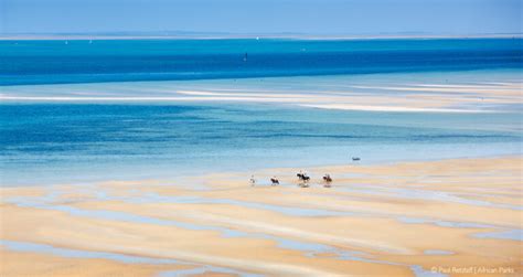 Bazaruto Archipelago National Park - Africa Geographic