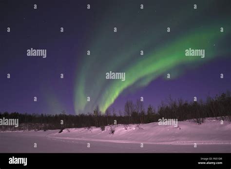 aurora borealis northern light  cold winter snowy landscape stock