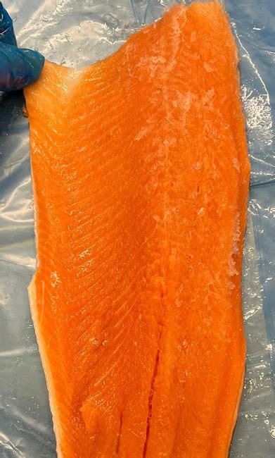 Salmon D Trim Fillets From Meatex