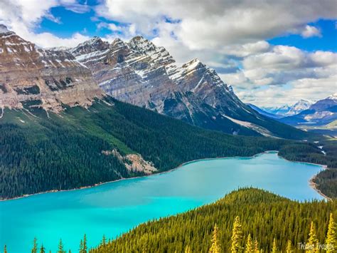 Driving the Icefields Parkway: Lake Louise to Athabasca Glacier