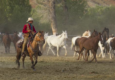 Horseback riding in Wyoming - Lazy L&B Ranch