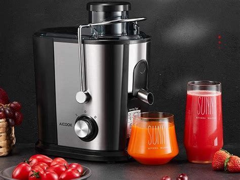 Best 6 Juicers For Ginger On The Market In 2022 Reviews