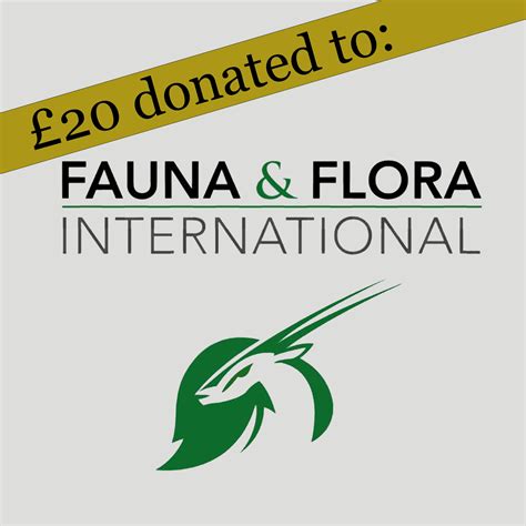 Pangolin Necklace – Jana Reinhardt Ltd