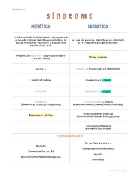 Síndrome Nefrítico y Nefrótico Galilea N uDocz