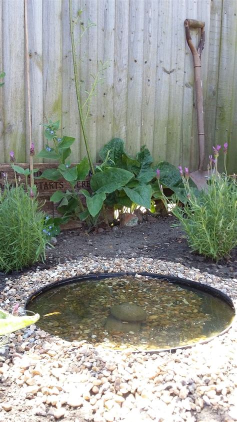 Small Wildlife Garden Shallow Pond Toad Houses And Bee Attracting