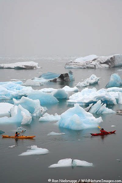 Two Kayakers Paddling Through Icebergs In The Ocean