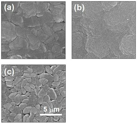 Surface Morphologies Of The Films Deposited On Ti Substrates In A