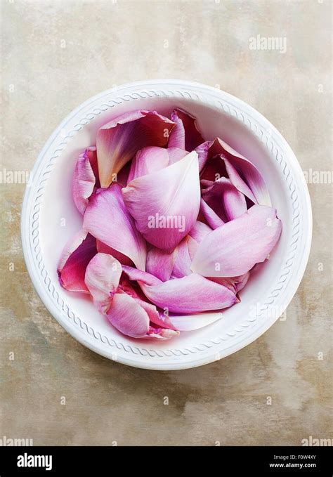 Rose Petals Bowl Hi Res Stock Photography And Images Alamy