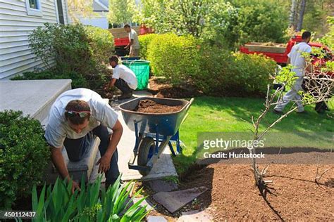 131 Mulch Wheelbarrow Stock Photos High Res Pictures And Images