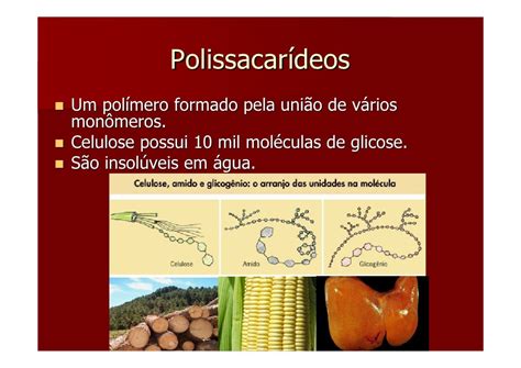 O Que São Polissacarideos - 10