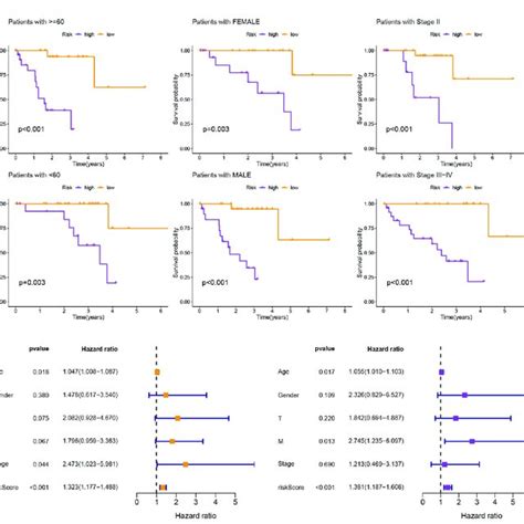 A Kaplan Meier Survival Curves Of Uveal Melanoma Patients In Download Scientific Diagram