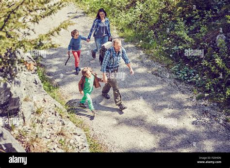 Familia Caminando A Trav S Del Bosque Tomados De Las Manos Vista