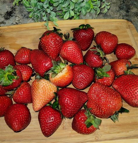 Easy Strawberry Jam - The Four Acre Farm