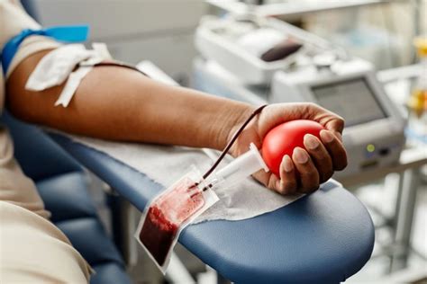 O que não pode fazer antes para doar sangue Blog Colombo