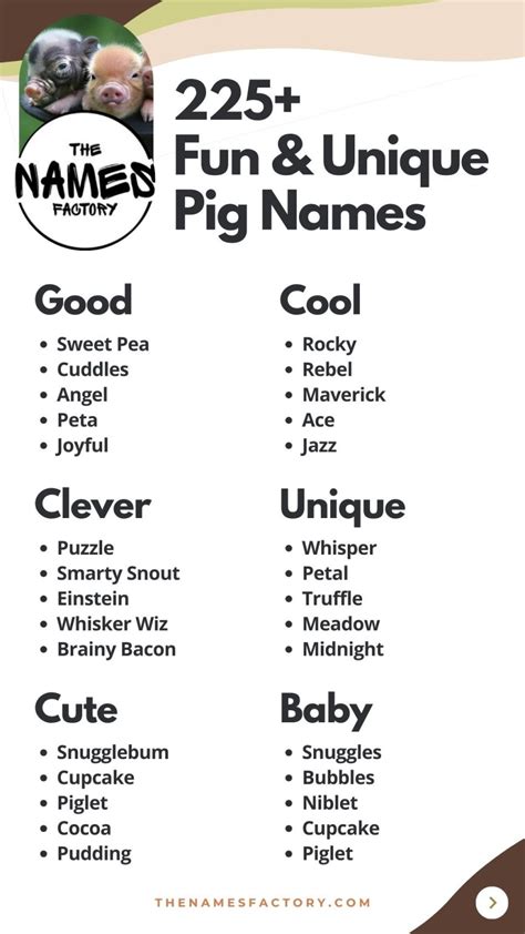 225+ Pig Names To Get Inspired for Your Porcine Pal!