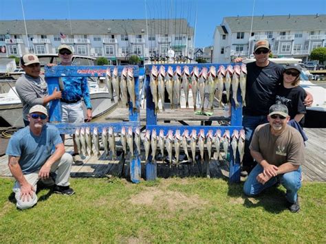 Lake Erie Walleye Fishing Charters Blue Dolphin Walleye Charters