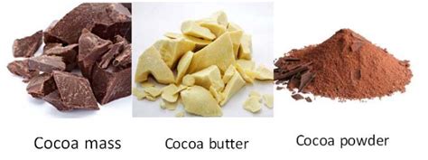 Could You Identify Cocoa Powder Cocoa Butter And Cocoa Mass