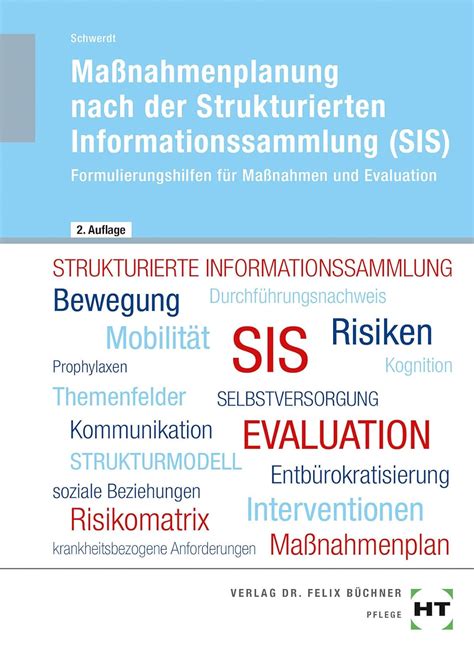 Maßnahmenplanung nach der Strukturierten Informationssammlung SIS