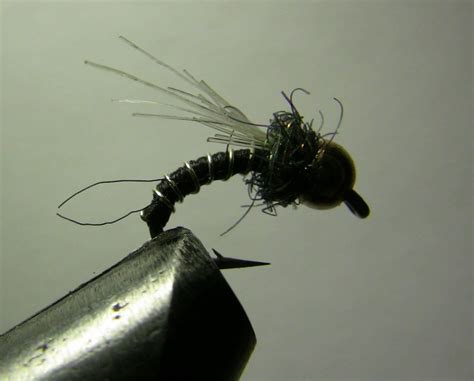 How To Tie The Zebra Midge Fly Pattern Fly Tying