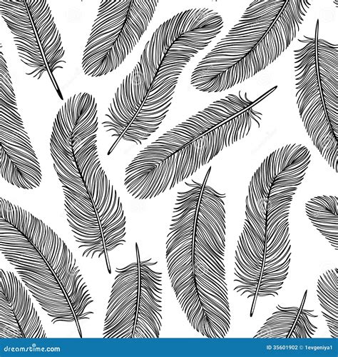 Black And White Feather Seamless Background Stock Photography Image