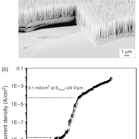 A Vertically Aligned Zno Nanowires On Ga Doped Zno Film B Emission Download Scientific