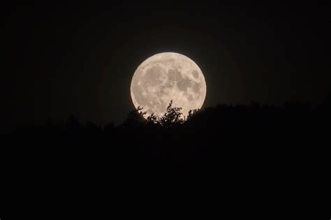 Mondlicht Vollmond Mond Kostenloses Foto Auf Pixabay Pixabay