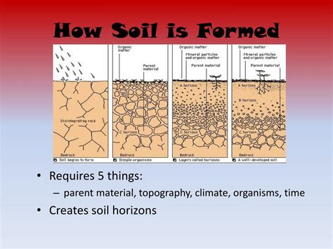 PPT - Soil Formation PowerPoint Presentation, free download - ID:2788760