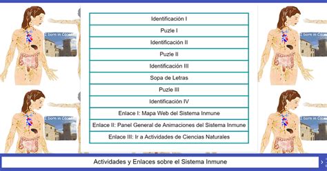 Ciencias Naturales En Secundaria Actividades Sobre El Sistema Inmune