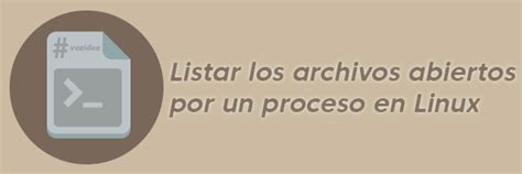 C Mo Listar Los Archivos Abiertos Por Un Proceso En Linux Vozidea