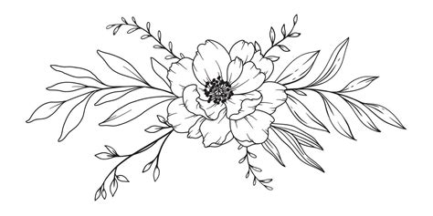 Peony Line Drawing. Black and white Floral Bouquets. Flower Coloring Page. Floral Line Art. Fine ...