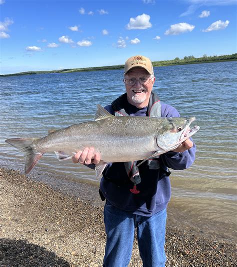 Alaska sockeye fishing - Nushagak River Adventures