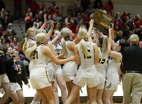 Girls basketball: NLS Wildcats carry on to state - West Central Tribune ...