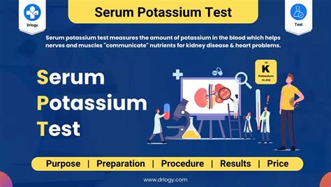 What Is The Normal Potassium Level