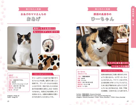 ネコの毛色や模様はどうやって決まるのか？詳しく解説した書籍『猫柄図鑑』が刊行！ねこ博士＆猫教授の愛猫も登場 Cat Press（キャットプレス）