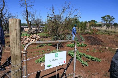 Préparation des cultures dhiver à la ferme de St Monica Lesotho