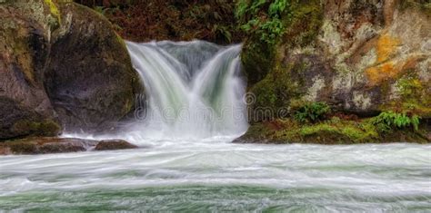 Falls Park Greenville SC stock photo. Image of rock - 137613912