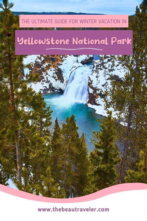 The Ultimate Guide for Traveling to Yellowstone in the Winter