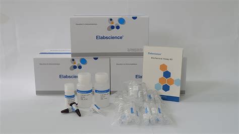 Total Iron Binding Capacity Colorimetric Assay Kit Elabscience 官方网站