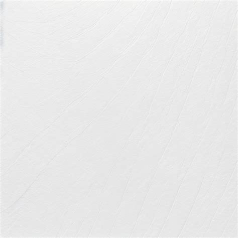 Premium Photo | A white background with a blue line that says'white'on it