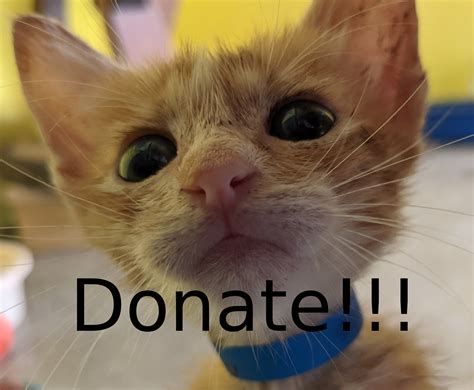 Donate – Aruba Animal Shelter