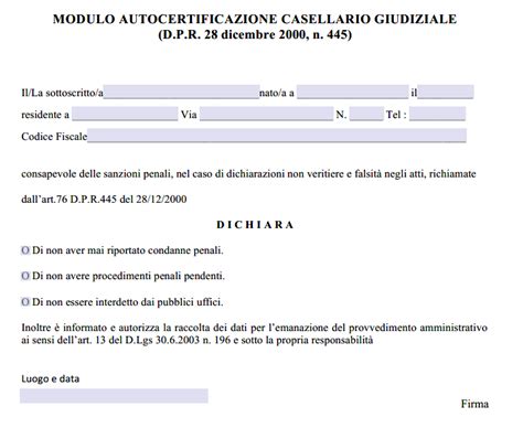 Autocertificazione Casellario Giudiziale Word E Pdf Modulo