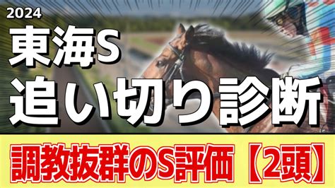 【東海ステークス2024】追い切り評価《調教推奨馬はアノ馬たち》 アギョウトレセン