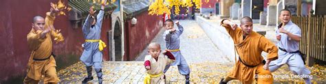 Chinese Kung Fu Tour Top 3 China Kung Fu Tours 2025