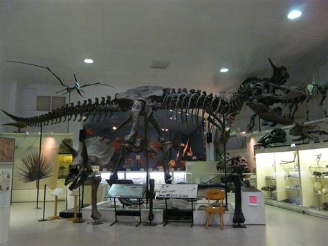 T Rex Stan Stan The T Rex Skeleton At The Black Hills Ins Flickr