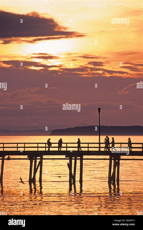 The 500m Long White Rock Pier And Boundary Bay At Sunset White Rock