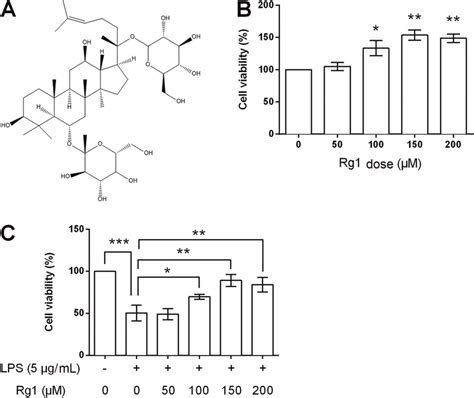 A Structural Formula Of Ginsenoside Rg1 B Viability Of Hk 2 Cells