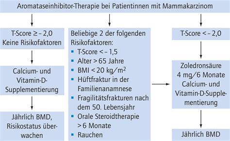 Medikament Se Therapie Ausgew Hlter Formen Der Sekund Ren Osteoporose