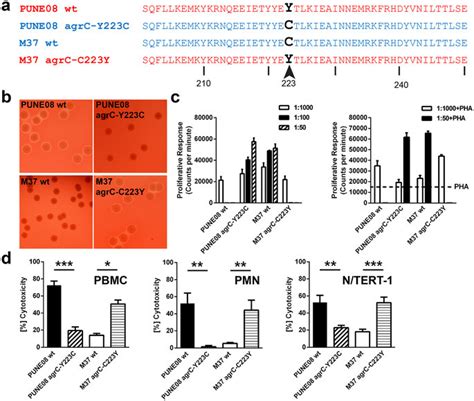 Phenotypic Switch Of The Pune And M S Aureus Strains Due To Direct